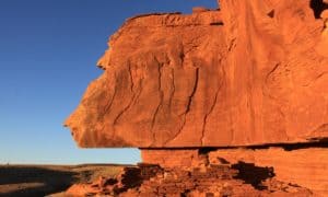 Petroglyphs in the Wupatki National Monument Wilderness | NPS Photo