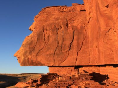 Petroglyphs in the Wupatki National Monument Wilderness | NPS Photo