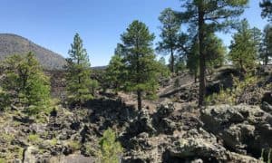 Lava's Edge Trail, Sunset Crater Volcano NM | NPS Photo by Marge Ullmann