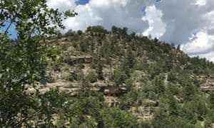 Walnut Canyon dwellings | NPS Photo by Marge Ullmann