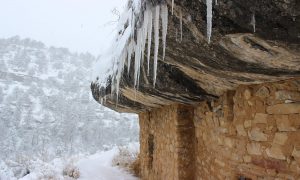 Walnut Canyon Dwelling | NPS Photo by Marge Ullmann