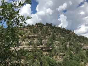 Walnut Canyon Dwellings | NPS Photo by Marge Ullmann