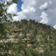 Walnut Canyon Dwellings | NPS Photo by Marge Ullmann