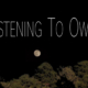 Listening to Owls